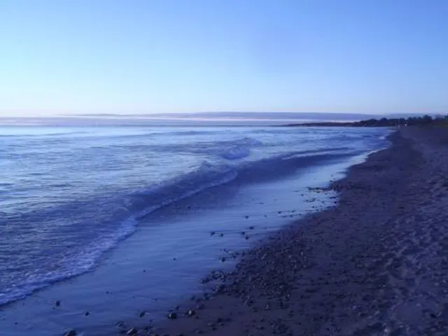 Burtchville Township