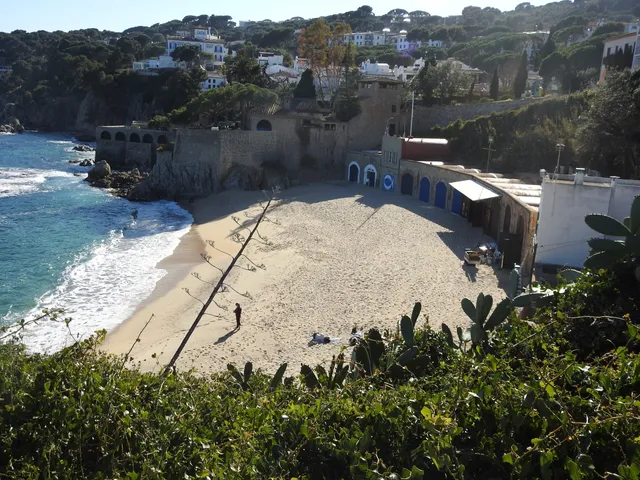 Platja del Port Pelegrí