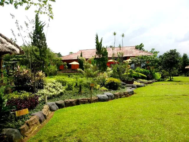 Paddessa Maison Villa & Resto