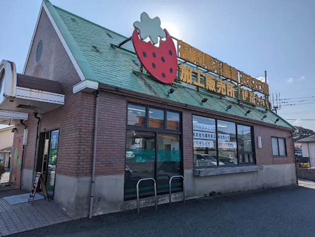 Itoking Itoshima Main Store