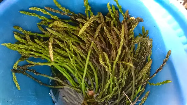 LA COMMENDA: Ristorante Pizzeria