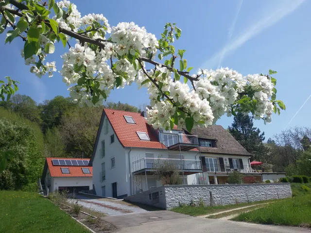 Ferienwohnungen Süßenmühle Wohnungen "Naturstrand" und "Obstwiese"