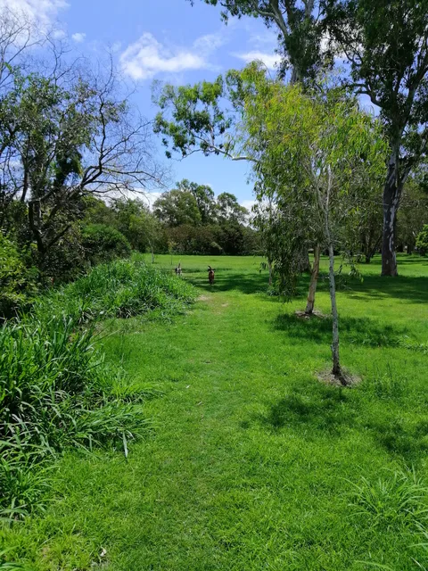 Downfall Creek Dog Park