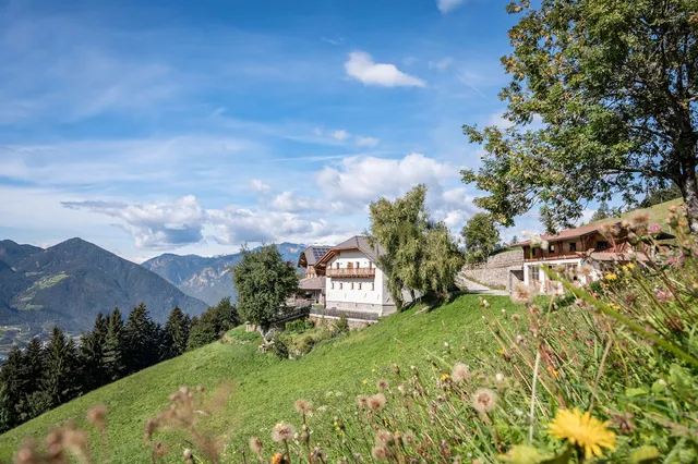 Bergbauernhof Platzbon