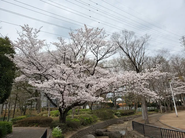 Sagiyama Memorial Park