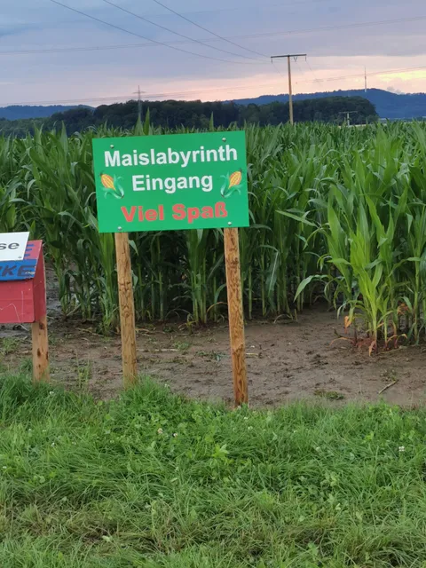 Mais Labyrinth Renz