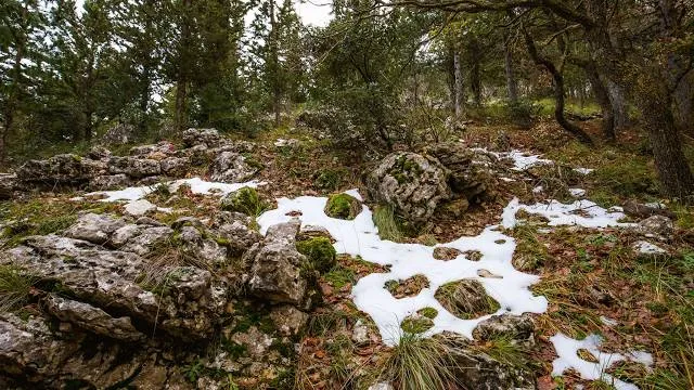 Parco dei Monti Sicani