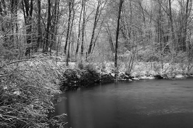 Beech Creek Botanical Garden & Nature Preserve