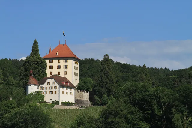 Schloss Heidegg