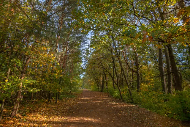 Karoliniškių draustinio pažintiniai takai