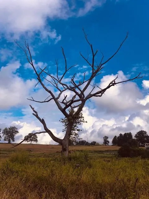 West Vincent Township