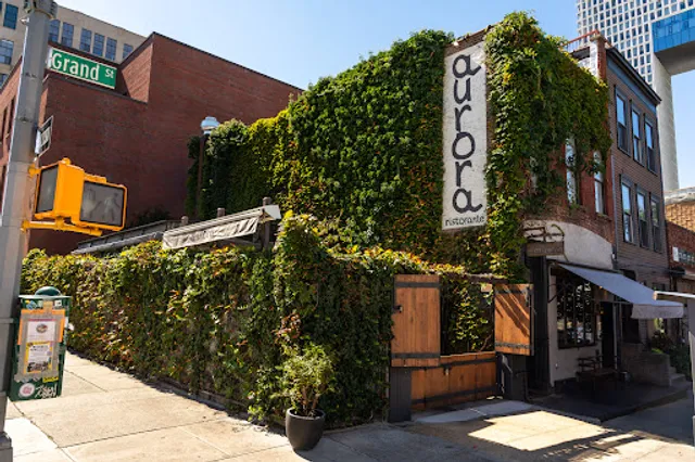 Aurora Brooklyn