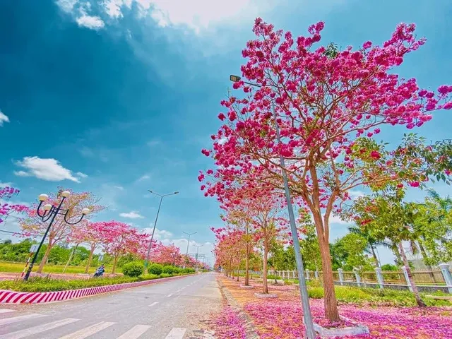 Đường Hoa Kèn Hồng