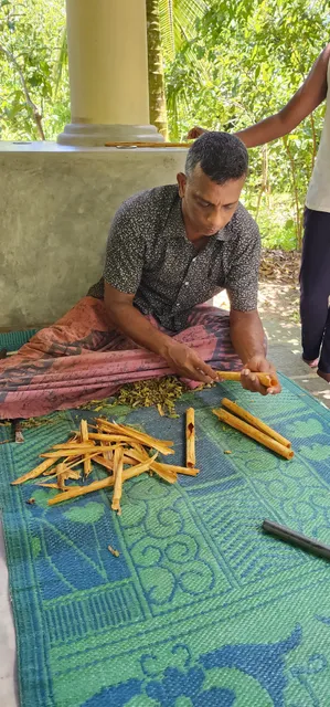 The Cinnamon Experience PVT LTD