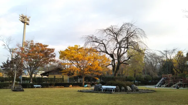 photo-1