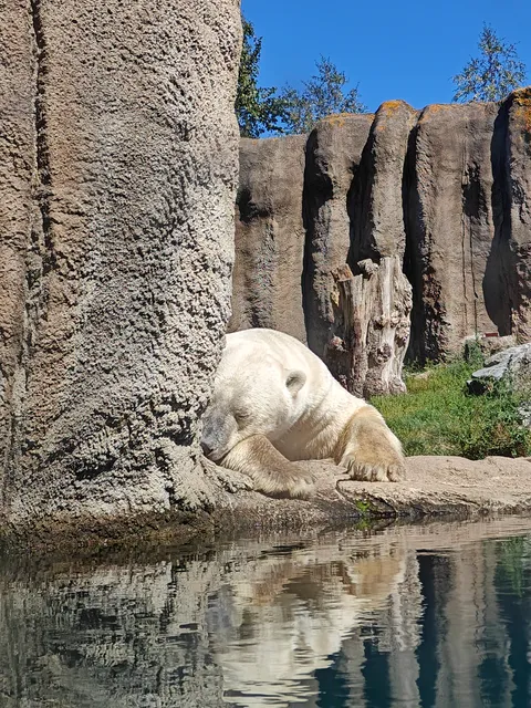 Stadsingang - Diergaarde Blijdorp