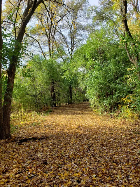 Army Trail Nature Center