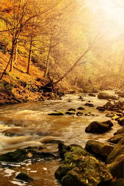 Loyd H Roland Memorial Park