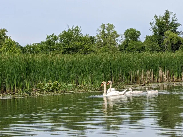 photo-2