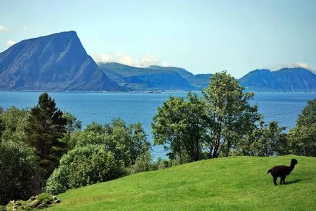 Hakallegarden / Hakallegarden Pet Farm