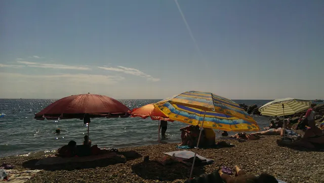 Arkhipo-Osipovskiy Del'finariy