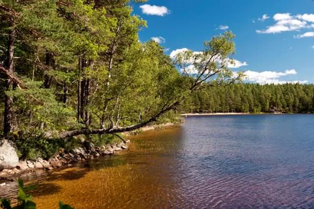 Tiveden National Park