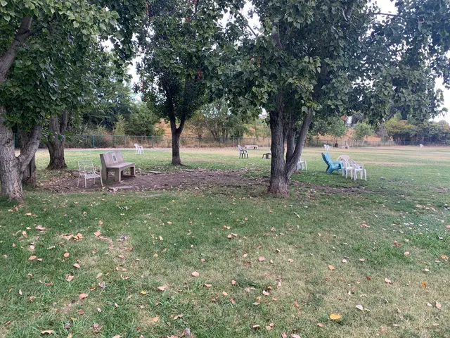 Toad Hollow Dog Park