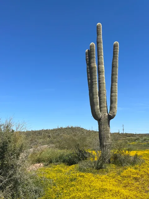 Black Canyon City Trailhead