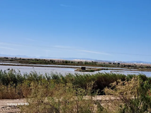 Sonny Bono Salton Sea National Wildlife Refuge - Unit 1