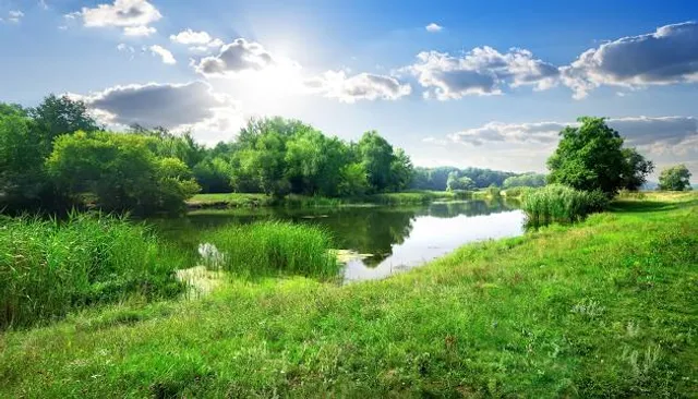 Plaża Miejska w Pułtusku