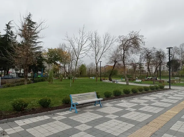 photo-1