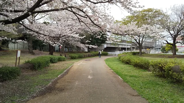 Nishichiba Park
