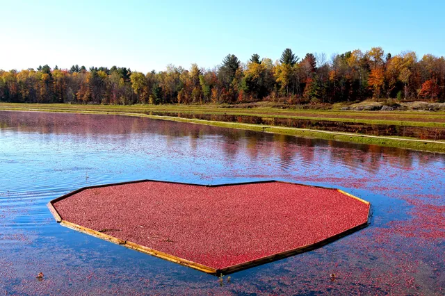 Muskoka Lakes Farm & Winery
