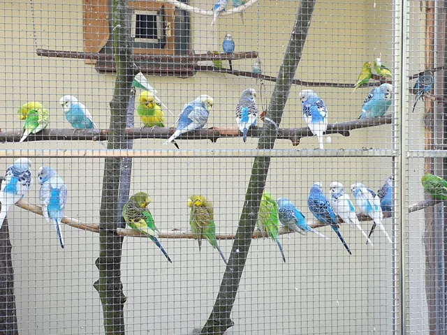 Vogelpark Weingarten-Waldbrücke