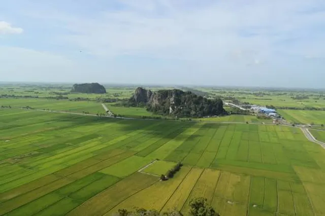 Bukit Kodiang Trailhead