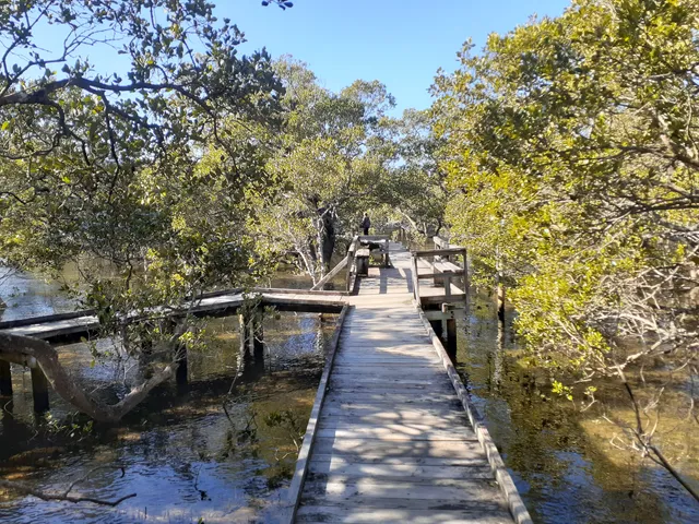 Jervis Bay Mangrove Boardwalk