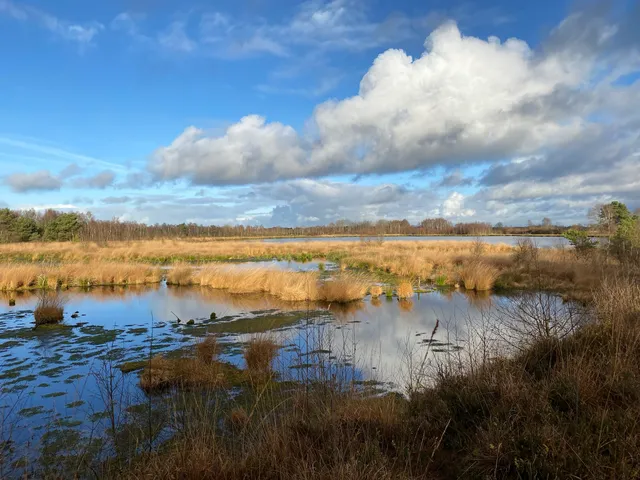 Hohes Moor Nature Reserve