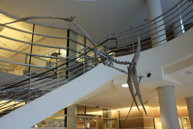 Museum of Vertebrate Zoology