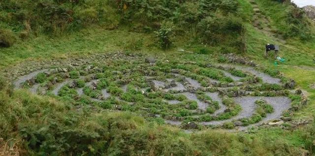 Dunure Labyrinth