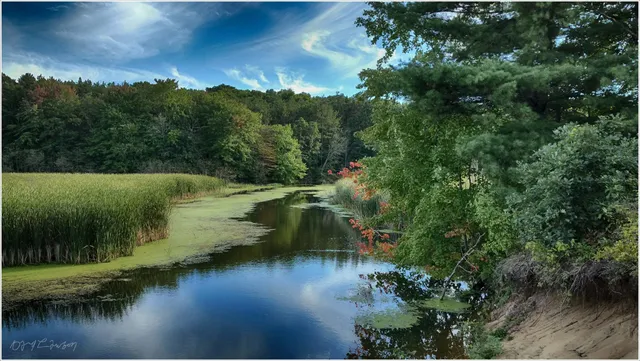 Port Sheldon Township