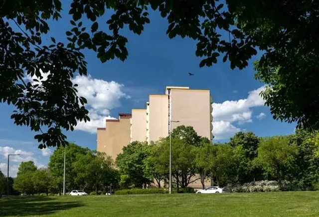 photo-2