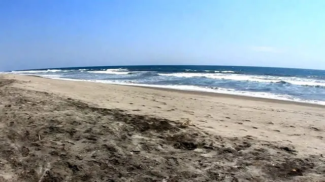Playa La Zunganera