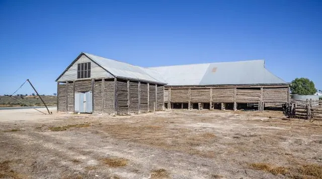 Mungo Woolshed