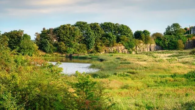 Embleton Quarry Nature Reserve