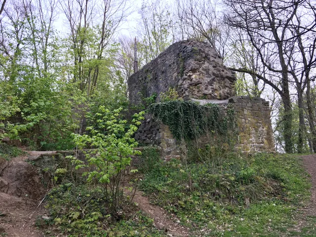Ruins Blankenstein