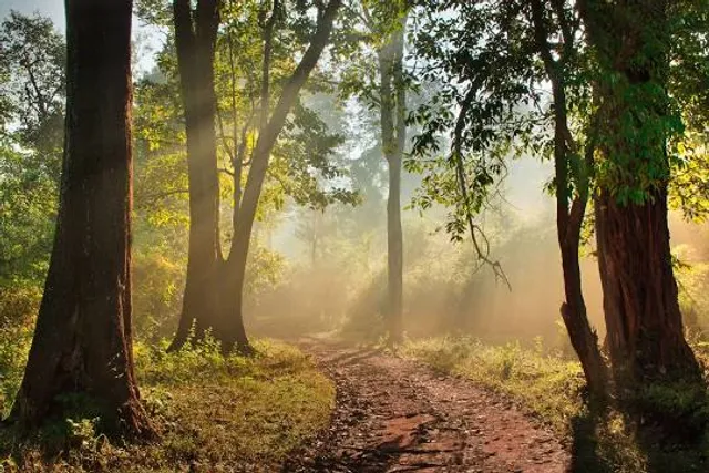 BHADRA TIGER RESERVE, Muthodi safari