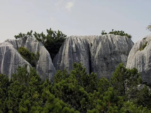 Castelloni of St. Mark