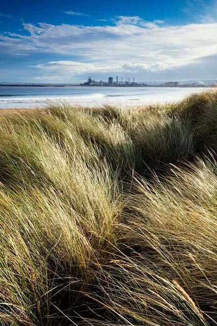 Teesmouth National Nature Reserve