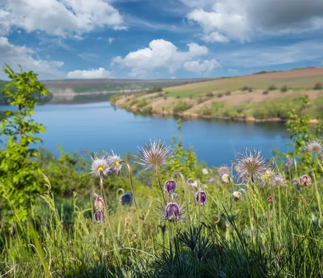 Balneario Cañón de las Flores