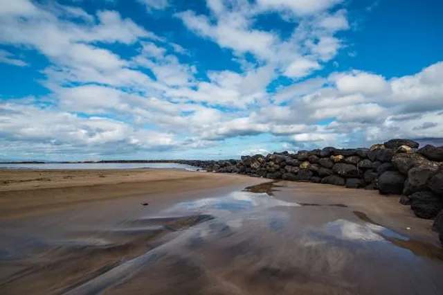 Hawaiian Islands Humpback Whale National Marine Sanctuary Visitor Center